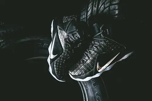 Nike LeBron 12 XII EXT резиновый город Nike LeBron 12 XII EXT резиновый город