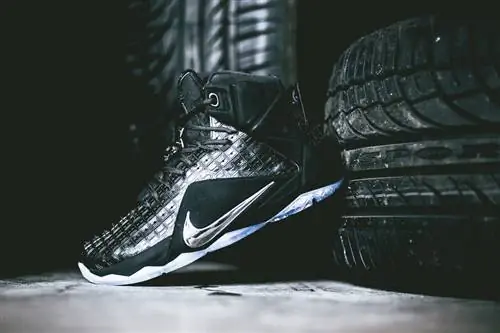 Nike LeBron 12 XII EXT резиновый город Nike LeBron 12 XII EXT резиновый город