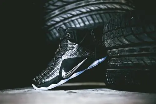 Nike LeBron 12 XII EXT резиновый город Nike LeBron 12 XII EXT резиновый город
