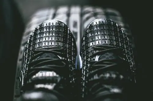 Nike LeBron 12 XII EXT резиновый город Nike LeBron 12 XII EXT резиновый город