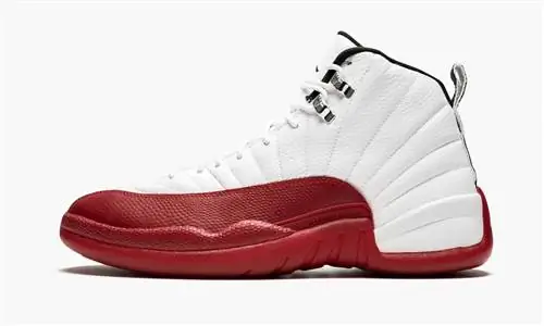 Air Jordan 12 вишневый Air Jordan 12 вишневый