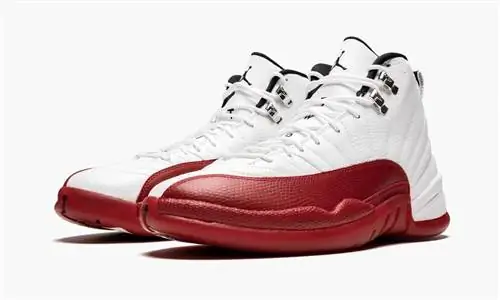 Air Jordan 12 вишневый Air Jordan 12 вишневый