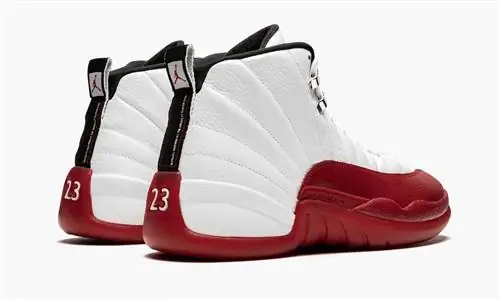 Air Jordan 12 вишневый Air Jordan 12 вишневый