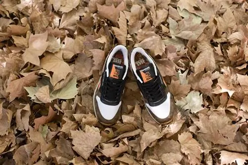 HAL Reebok Классические кожаные осенние листья