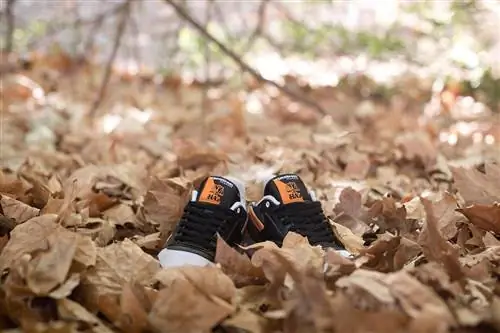 HAL Reebok Классические кожаные осенние листья