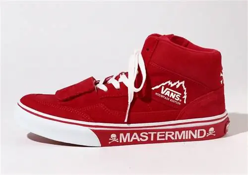 вдохновитель ЯПОНИЯ Vans Mountain Edition Red