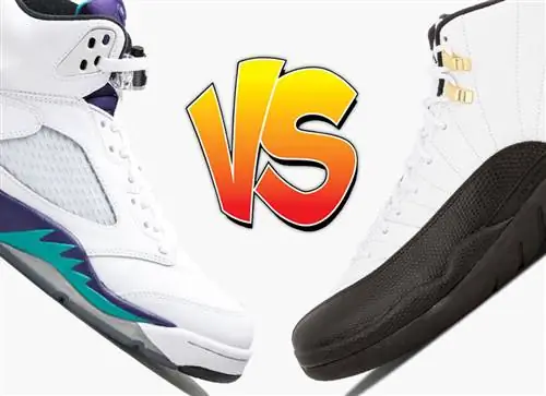 Лучше Air Jordan: AJ5 «Виноград» или AJ12 «Такси»