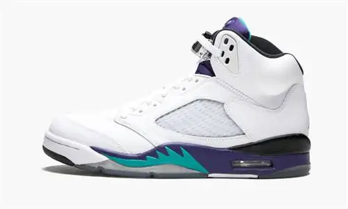 Air Jordan 5 Grape 2013 Air Jordan 5 Grape 2013