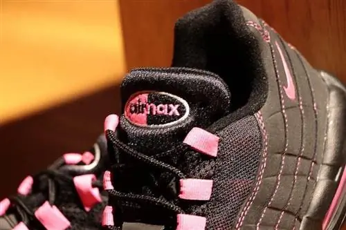 Дата выхода Nike Air Max 95 Black Pink CU1930-066 Дата выхода Nike Air Max 95 Black Pink CU1930-066