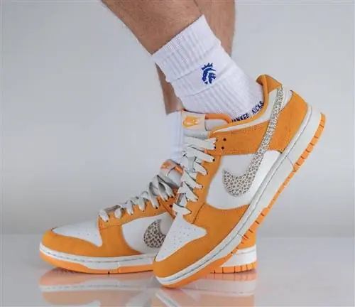 Nike Dunk Low Safari Swoosh DR0156-800 Дата выпуска На ногах Nike Dunk Low Safari Swoosh DR0156-800 Дата выпуска На ногах
