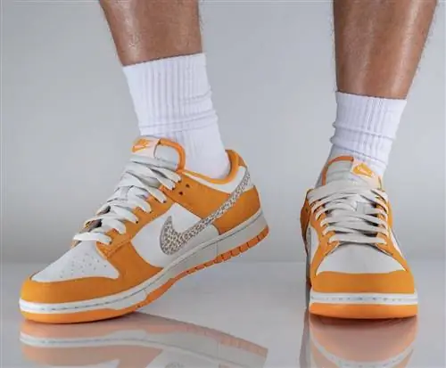 Nike Dunk Low Safari Swoosh DR0156-800 Дата выпуска На ногах Nike Dunk Low Safari Swoosh DR0156-800 Дата выпуска На ногах