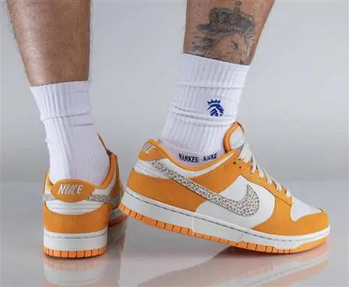 Nike Dunk Low Safari Swoosh DR0156-800 Дата выпуска На ногах Nike Dunk Low Safari Swoosh DR0156-800 Дата выпуска На ногах