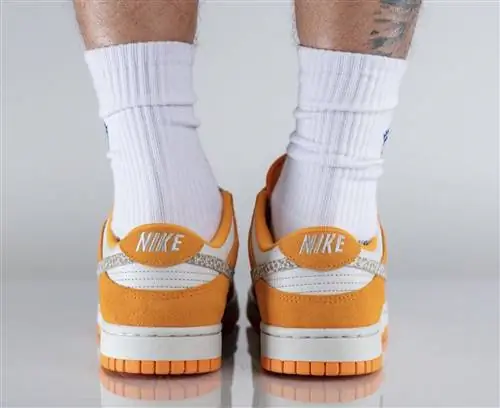 Nike Dunk Low Safari Swoosh DR0156-800 Дата выпуска На ногах Nike Dunk Low Safari Swoosh DR0156-800 Дата выпуска На ногах