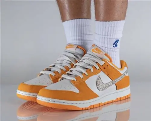 Nike Dunk Low Safari Swoosh DR0156-800 Дата выпуска На ногах Nike Dunk Low Safari Swoosh DR0156-800 Дата выпуска На ногах