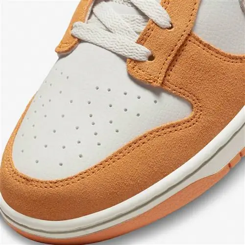 Nike Dunk Low Safari Swoosh Kumquat DR0156-800 Дата выпуска Nike Dunk Low Safari Swoosh Kumquat DR0156-800 Дата выпуска