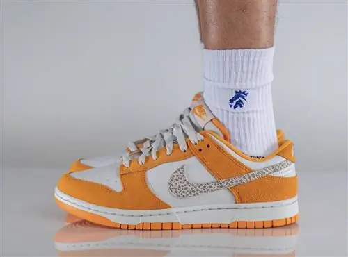 Nike Dunk Low Safari Swoosh DR0156-800 Дата выпуска На ногах Nike Dunk Low Safari Swoosh DR0156-800 Дата выпуска На ногах