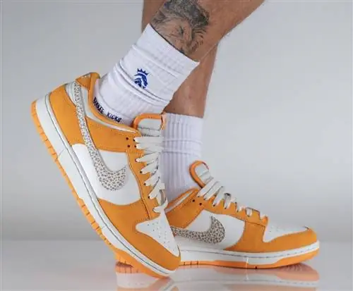 Nike Dunk Low Safari Swoosh DR0156-800 Дата выпуска На ногах Nike Dunk Low Safari Swoosh DR0156-800 Дата выпуска На ногах