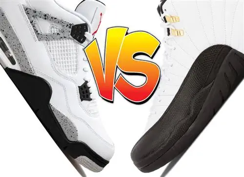 Лучшее старое: Air Jordan 4 «Белый цемент» или Air Jordan 12 «Такси»