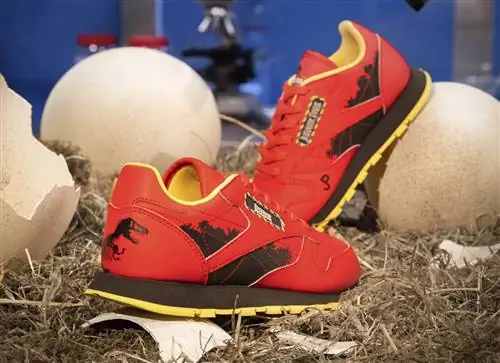 Дата выхода Reebok Jurassic Park Дата выхода Reebok Jurassic Park