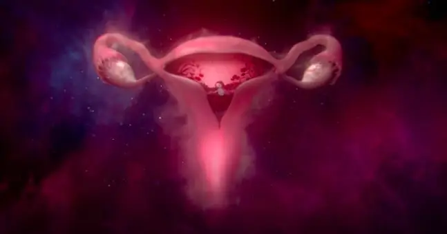 Womb Stories: последняя реклама Bodyform - это триумф изображения женского здоровья