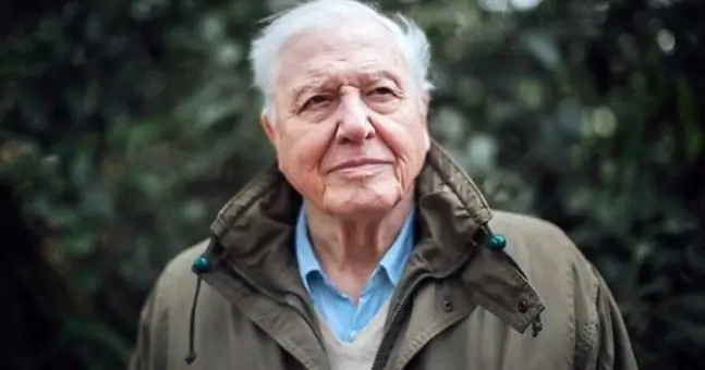 Дэвид Аттенборо объясняет, почему его команда «не может вмешиваться», когда животные в опасности
