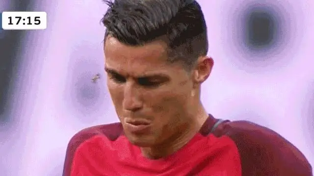 вы