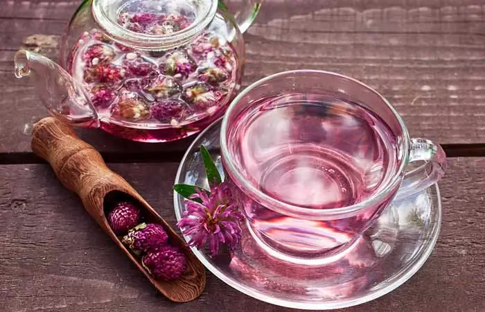Как приготовить чай из красного клевера Как приготовить чай из красного клевера