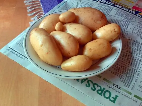 лечение бородавок дома