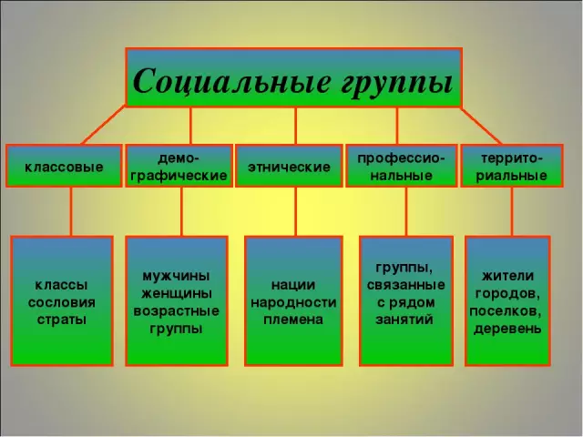 Красота и социальные нормы: как они взаимодействуют?