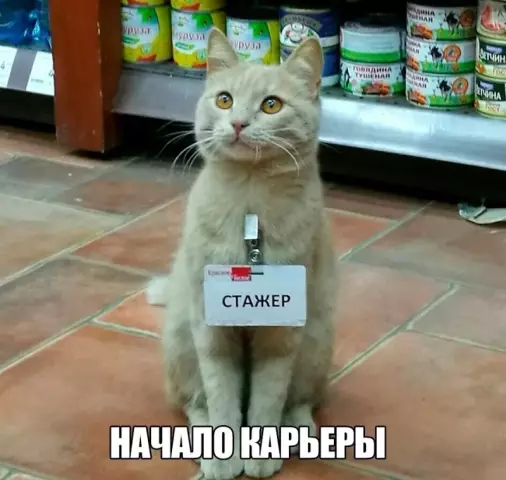 Самая смешная картина неузнаваемого Тома Круза