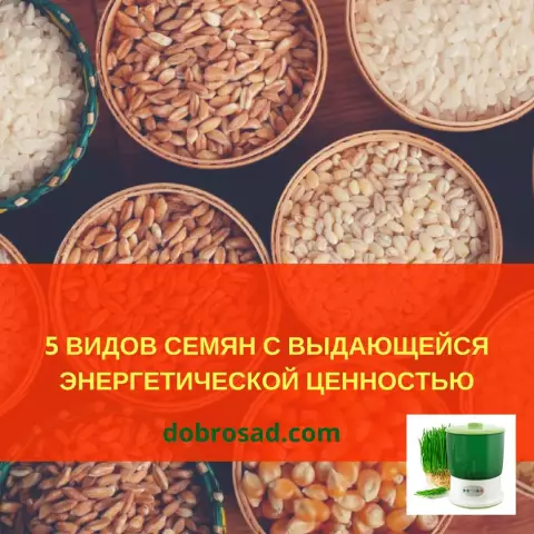 Несколько знаменитостей становятся модными дизайнерами для хорошего дела