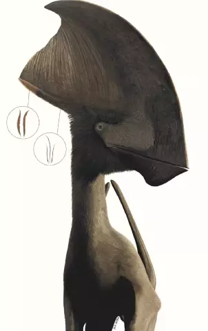 У T-rex были перья?