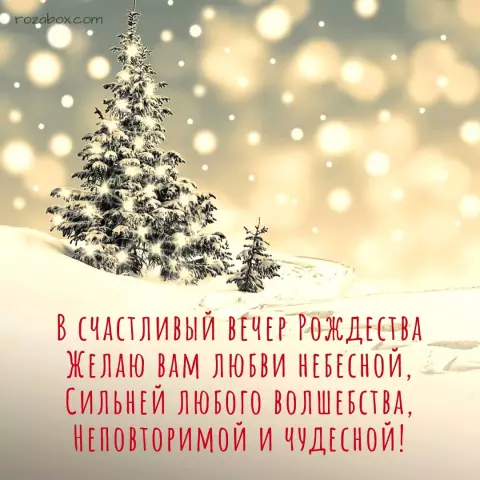 Счастливого Рождества от Максимы Денды в Аргентине
