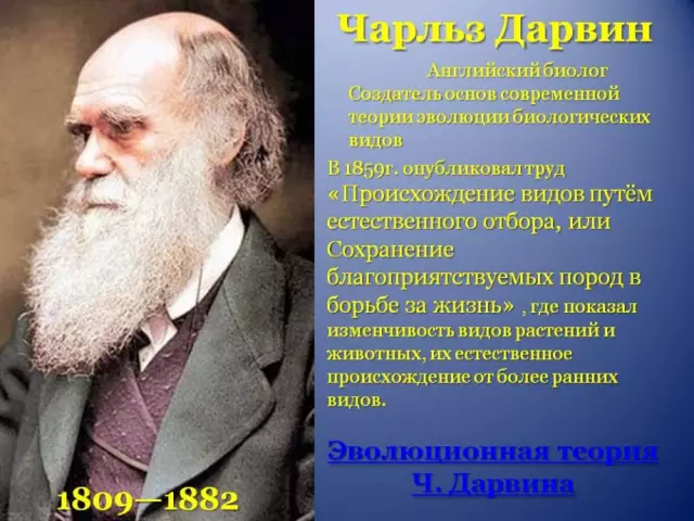 Английский Чарльз заявляет, что британцы его неправильно поняли