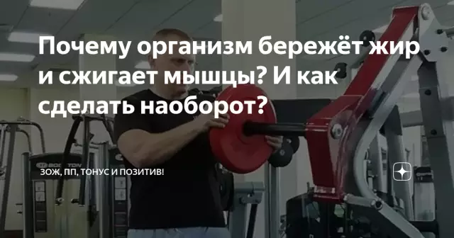 Как организм сжигает жир?