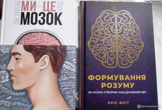 Как наш мозг создает воспоминания