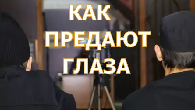 Наука о зрении: как наши глаза позволяют нам видеть?
