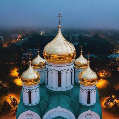Чувство себя: можем ли мы испытать владение искусственными телами?