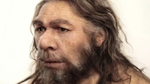 ДНК указывает на фотографа Ларри Биркхеда как биологического отца ребенка Анны Николь Смит