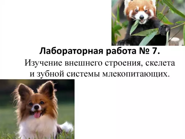 Изучение внешнего края Солнечной системы