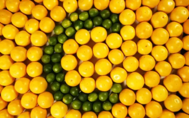 Топ-10 продуктов с наибольшим содержанием витамина А
